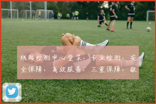 线路检测中心登录，专业检测，安全保障，高效服务，三重保障，敬请体验，