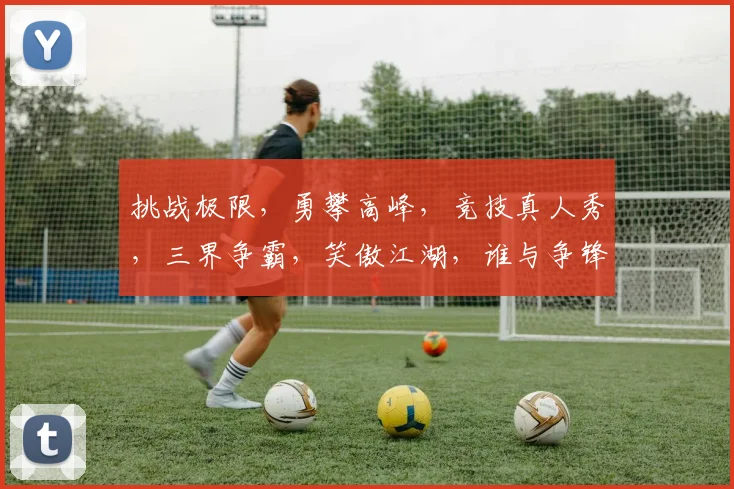挑战极限，勇攀高峰，竞技真人秀，三界争霸，笑傲江湖，谁与争锋，
