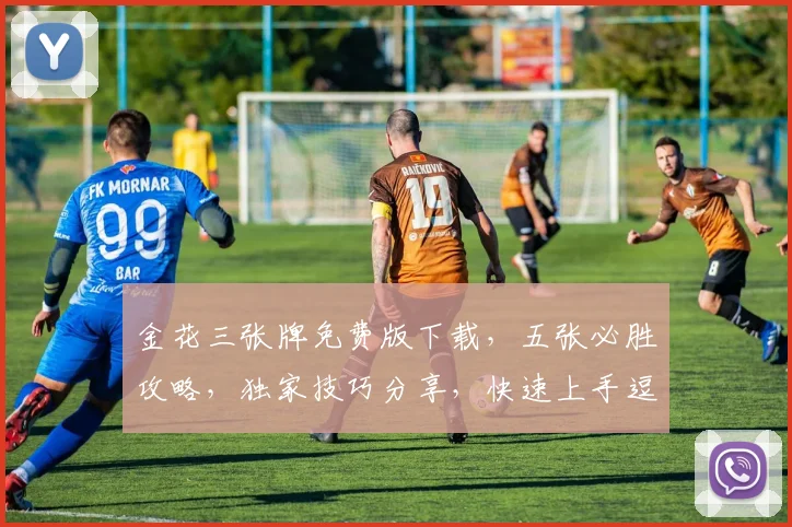 金花三张牌免费版下载，五张必胜攻略，独家技巧分享，快速上手逗乐赢